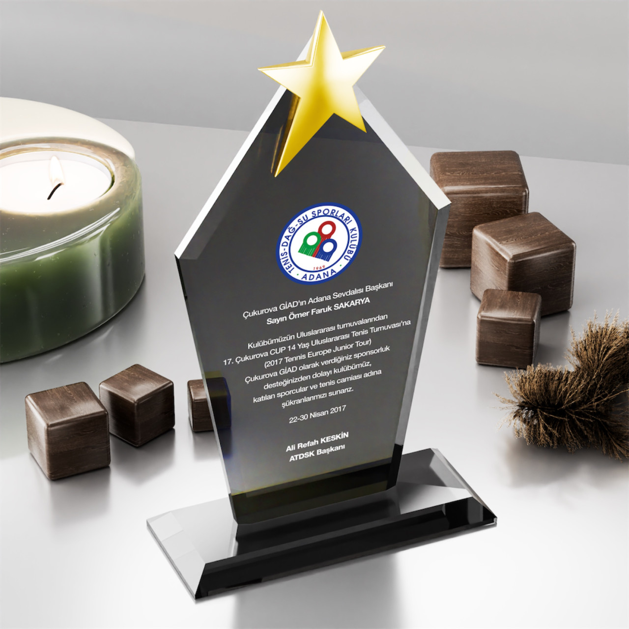 PB3006-FY Kristal Plaket