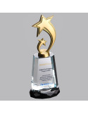 PB956 Kristal Plaket