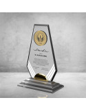 PB701 Kristal Plaket